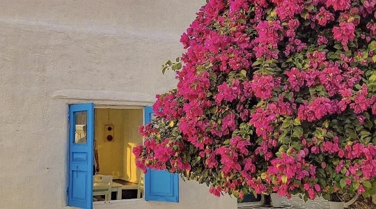 ソンチャマリーナカフェ